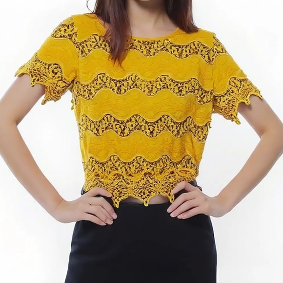 Greylin Tops - Greylin Yellow Lace Blouse